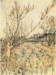 Boomgaard met Arles op de achtergrond